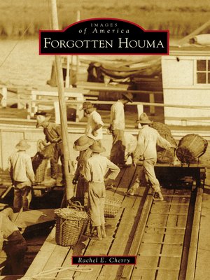 cover image of Forgotten Houma